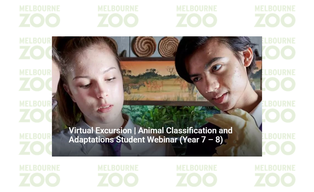 Arc | Events | Providers | Webinar - Animal Classification and Adaptation  Virtual Excursion